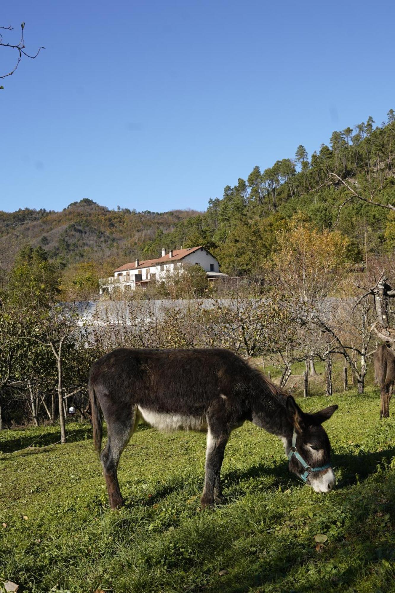 Agriturismo Ca Du Chittu Carro Buitenkant foto
